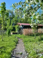 Gartenlaube